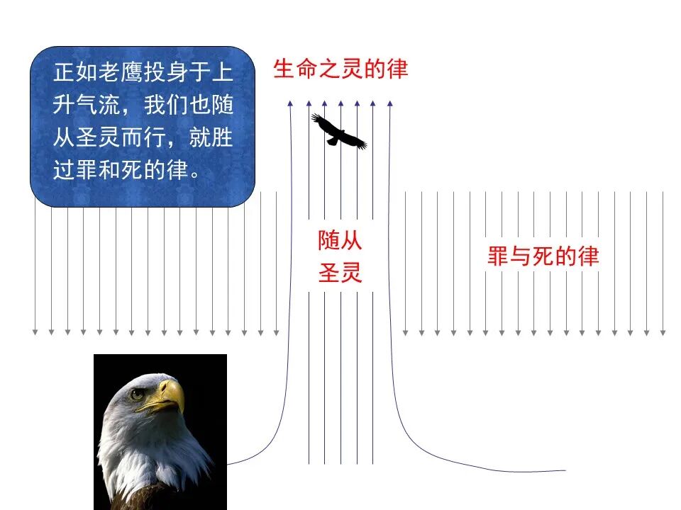 圣经图表——《罗马书》(图83)