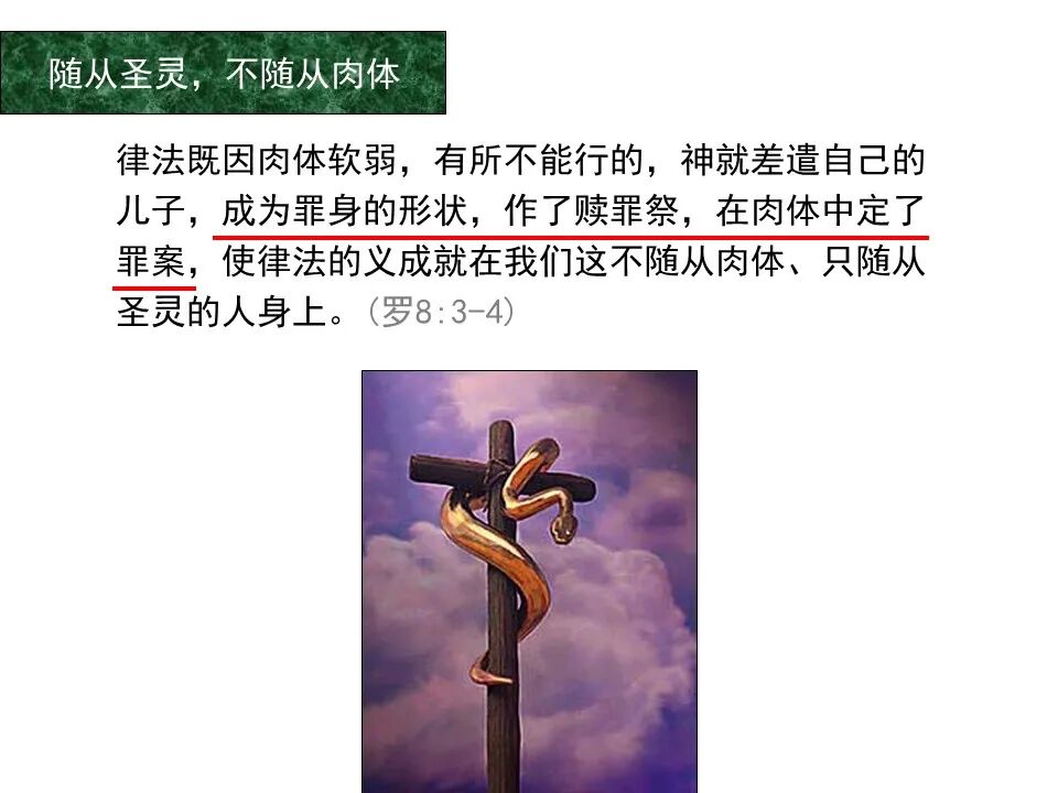 圣经图表——《罗马书》(图92)