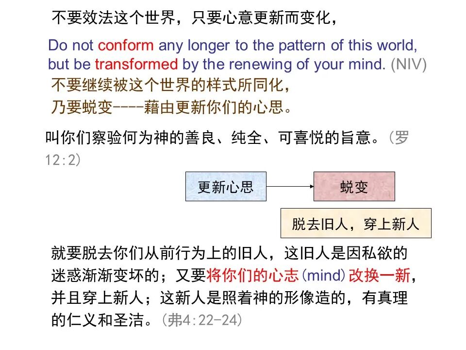 圣经图表——《罗马书》(图144)