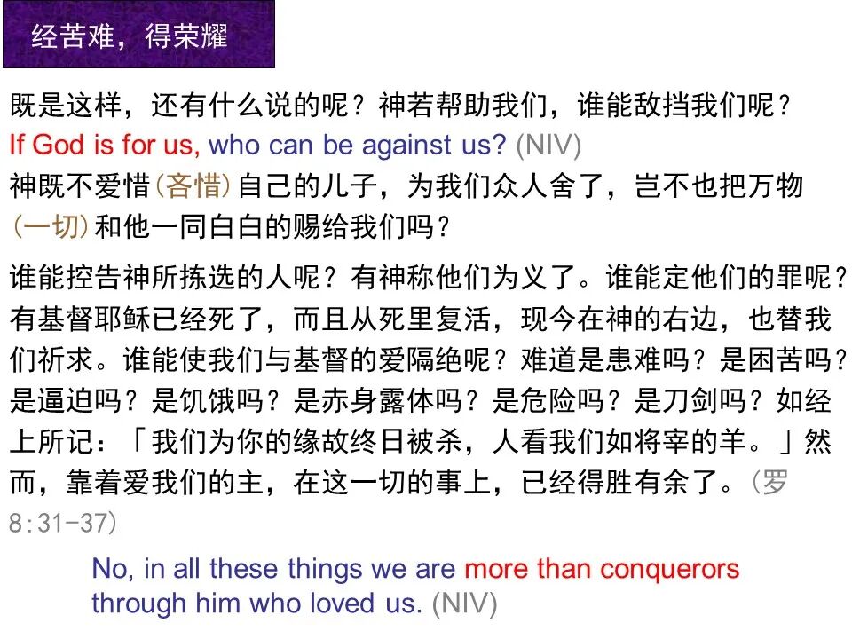 圣经图表——《罗马书》(图114)