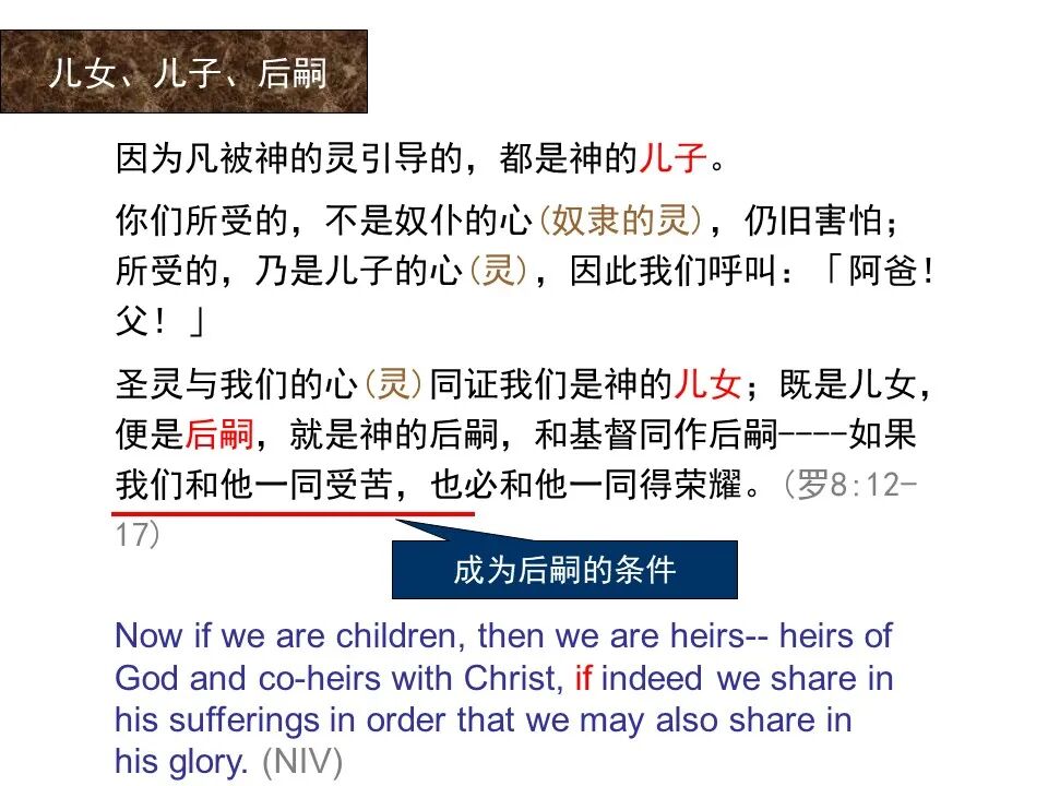 圣经图表——《罗马书》(图106)