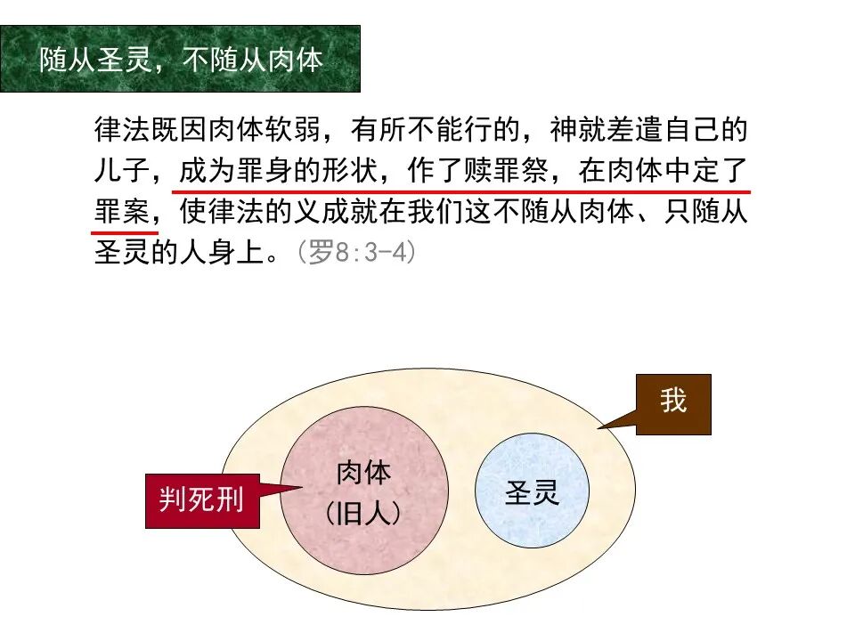 圣经图表——《罗马书》(图93)