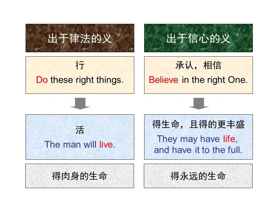 圣经图表——《罗马书》(图124)