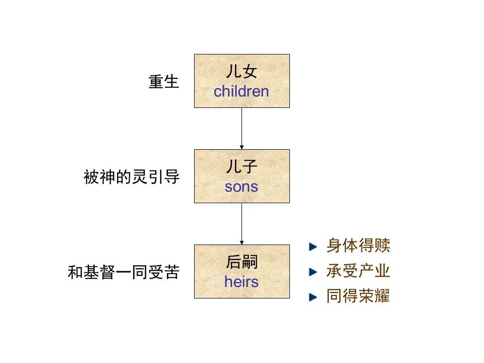 圣经图表——《罗马书》(图108)