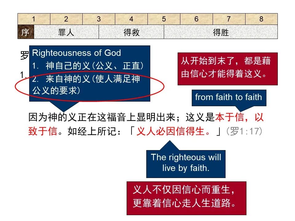 圣经图表——《罗马书》(图14)