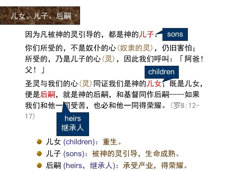 圣经图表——《罗马书》(图105)