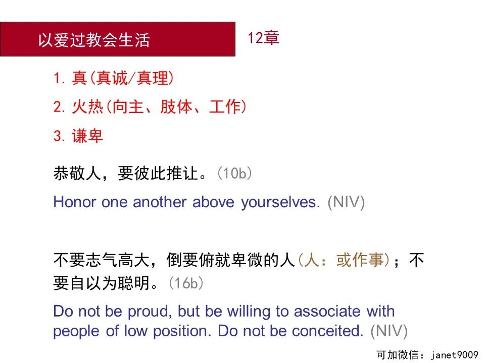 圣经图表——《罗马书》(图159)