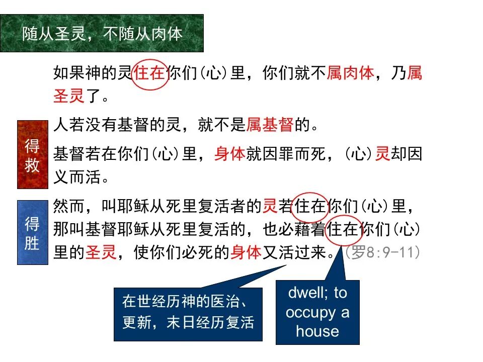 圣经图表——《罗马书》(图102)
