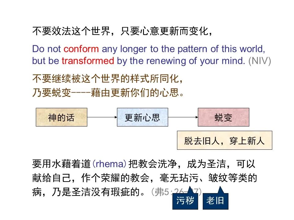圣经图表——《罗马书》(图146)