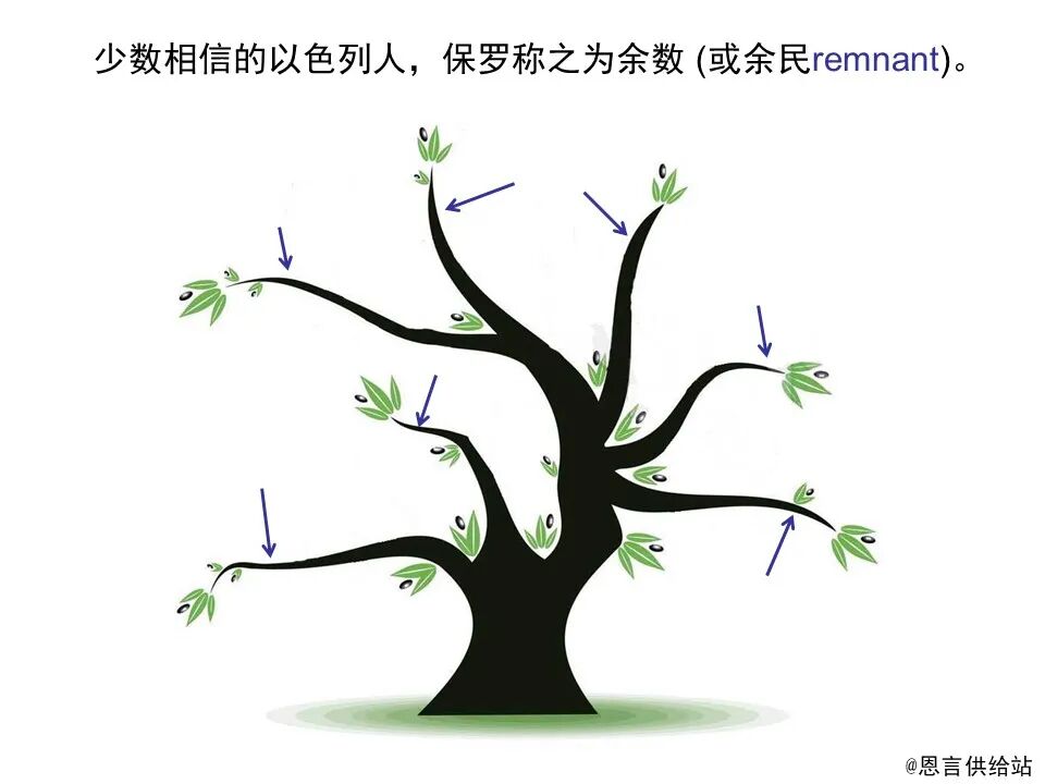 圣经图表——《罗马书》(图131)