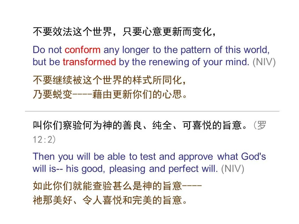 圣经图表——《罗马书》(图147)