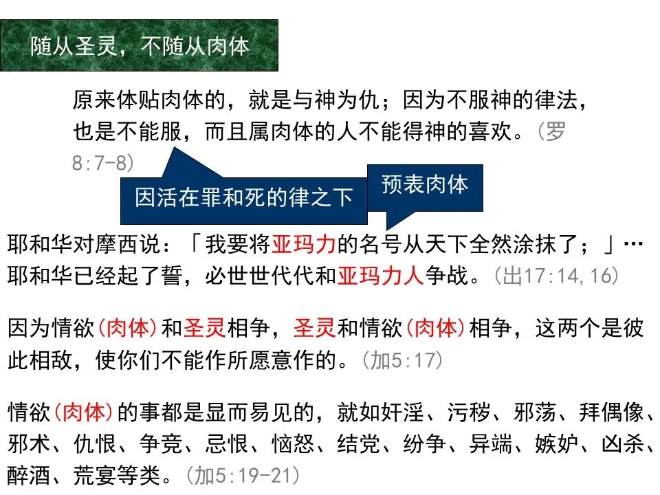 圣经图表——《罗马书》(图98)