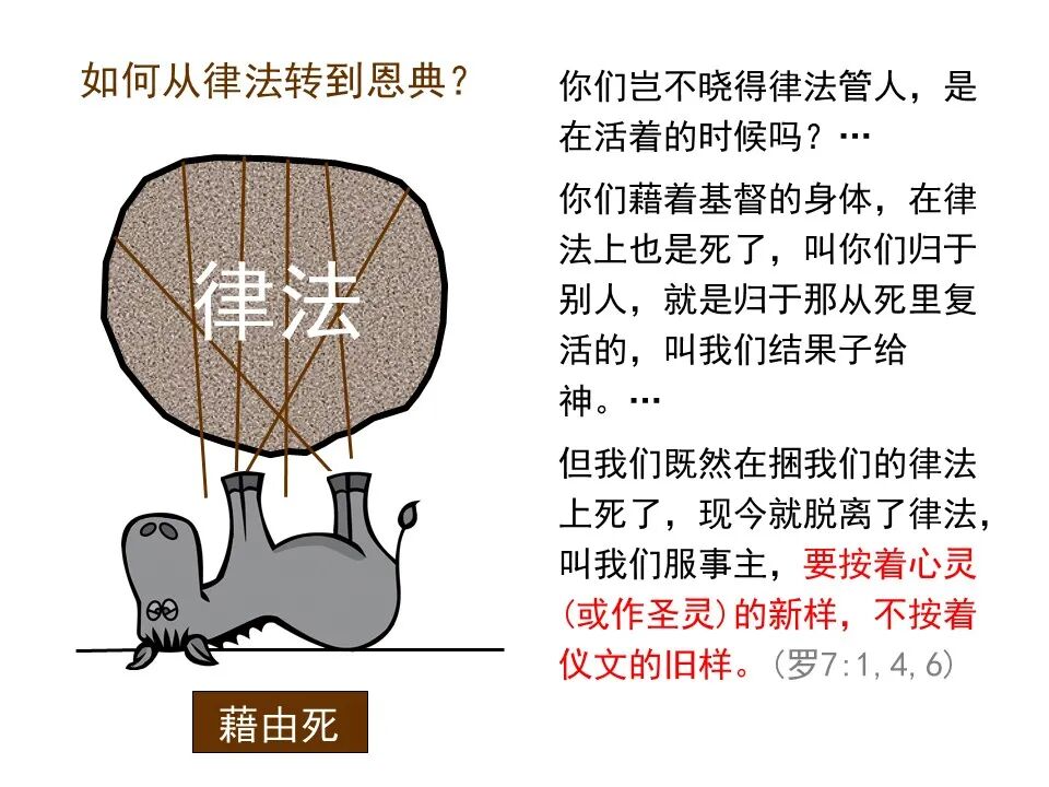 圣经图表——《罗马书》(图64)