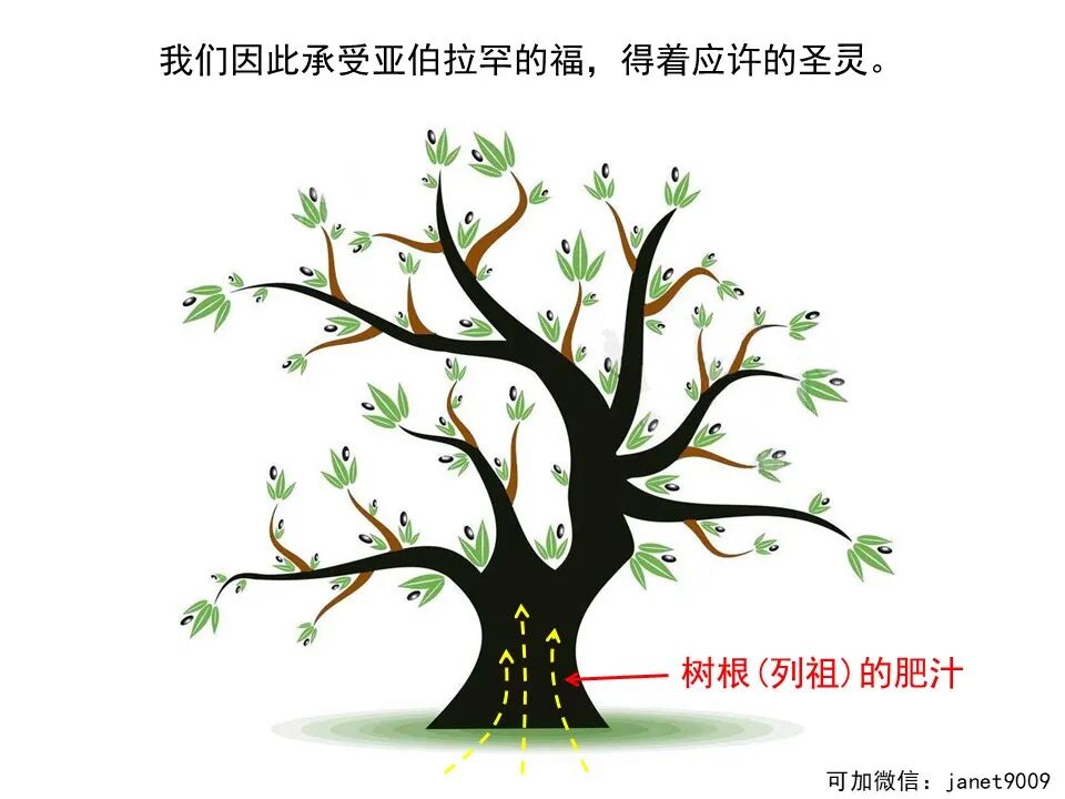 圣经图表——《罗马书》(图133)