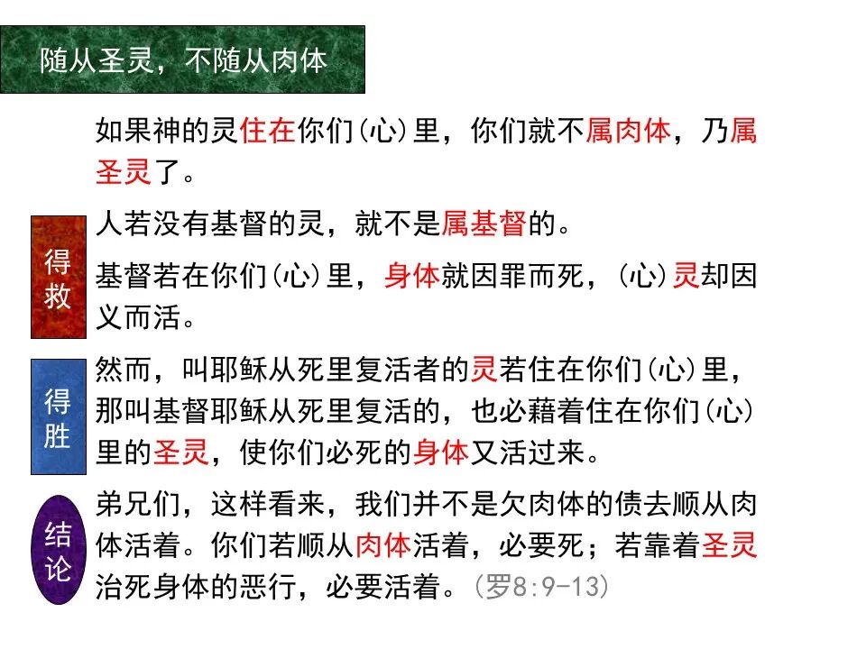 圣经图表——《罗马书》(图103)