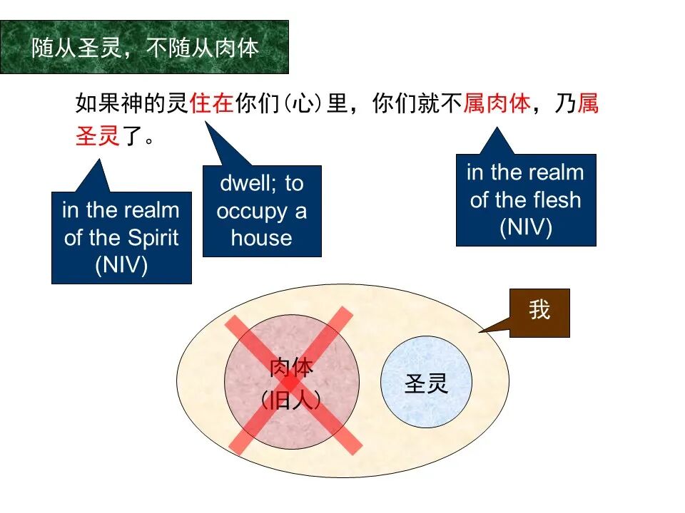 圣经图表——《罗马书》(图100)