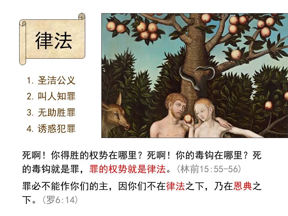 圣经图表——《罗马书》(图62)