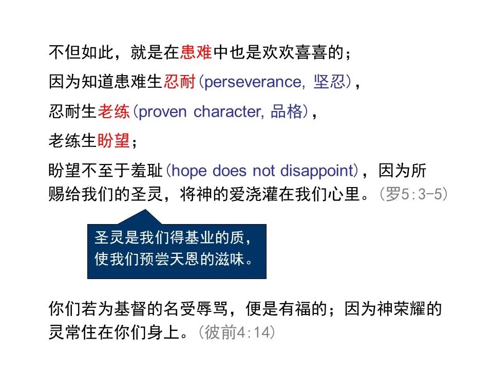 圣经图表——《罗马书》(图33)