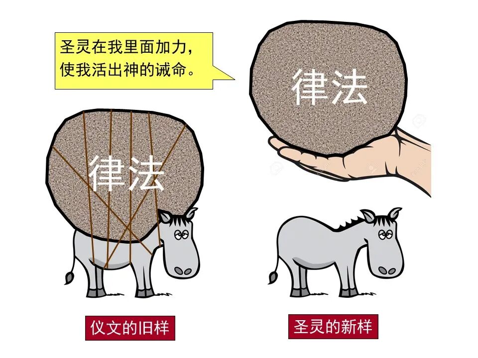 圣经图表——《罗马书》(图66)