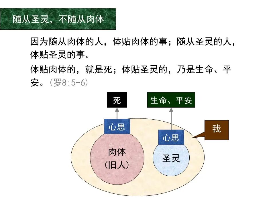 圣经图表——《罗马书》(图96)