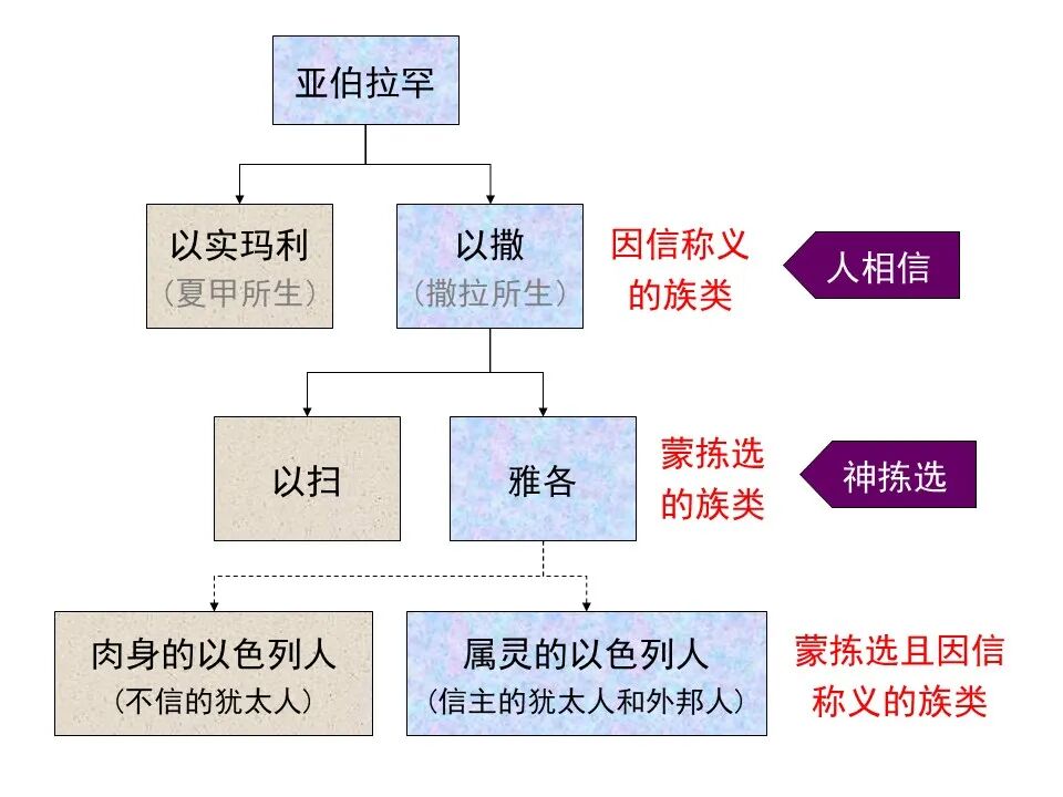 圣经图表——《罗马书》(图120)