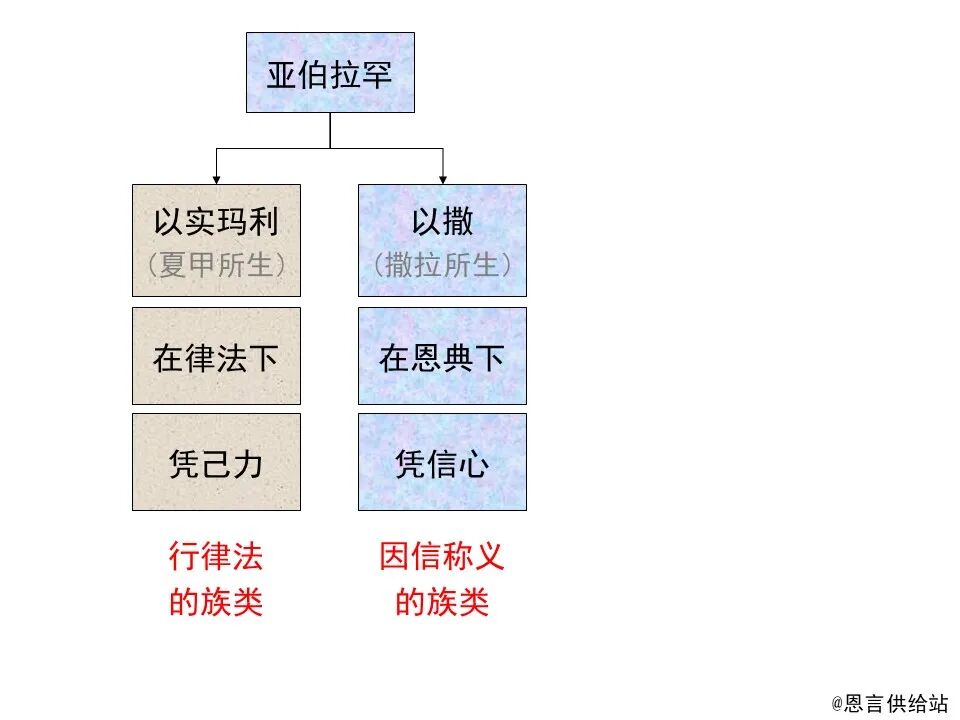 圣经图表——《罗马书》(图118)