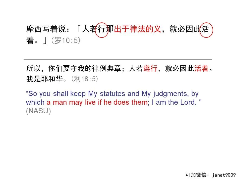 圣经图表——《罗马书》(图122)