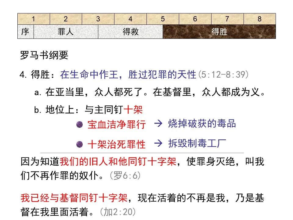 圣经图表——《罗马书》(图51)