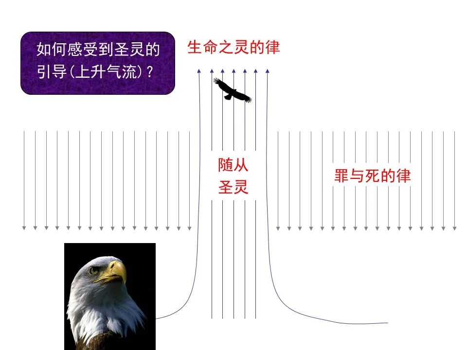 圣经图表——《罗马书》(图85)