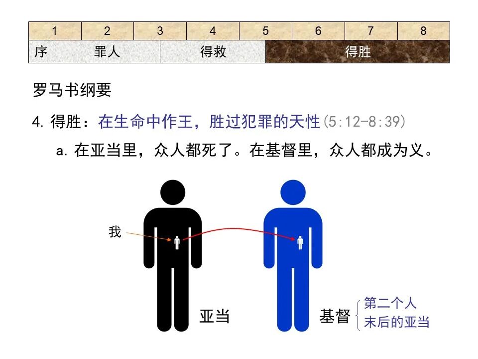 圣经图表——《罗马书》(图49)