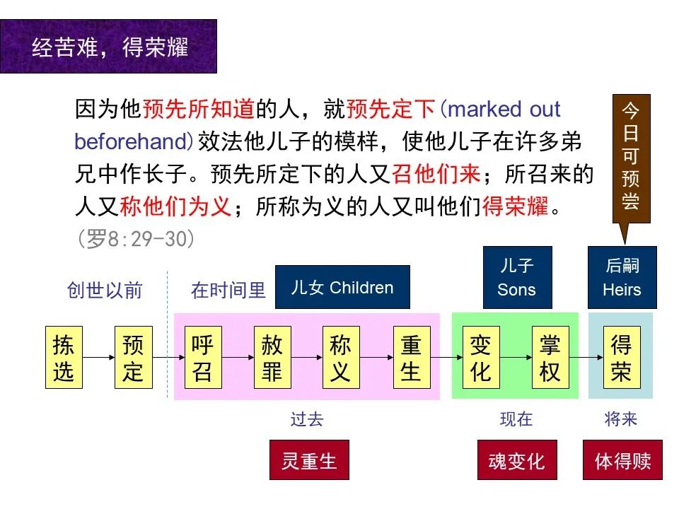圣经图表——《罗马书》(图113)