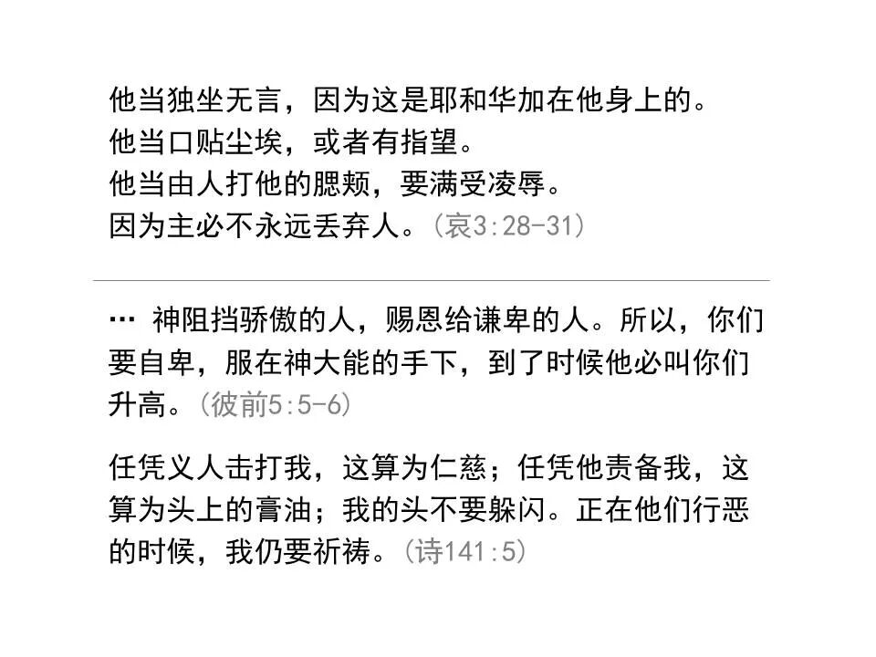 圣经图表——《耶利米哀歌》(图11)