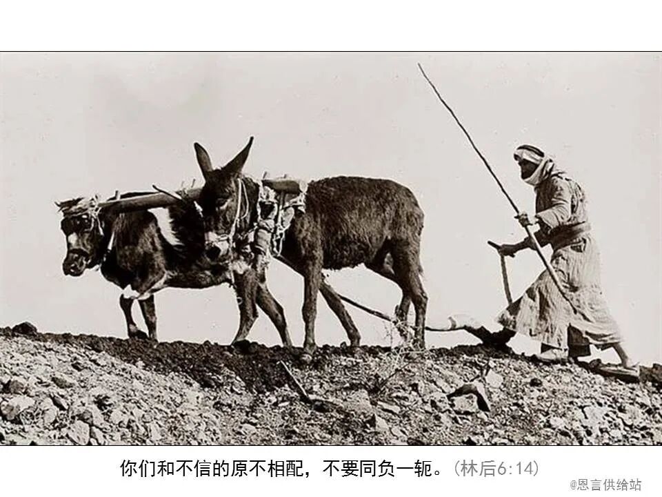 圣经图表——《哥林多后书》(图65)