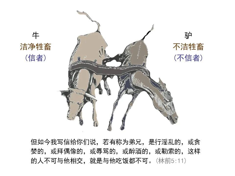 圣经图表——《哥林多后书》(图68)