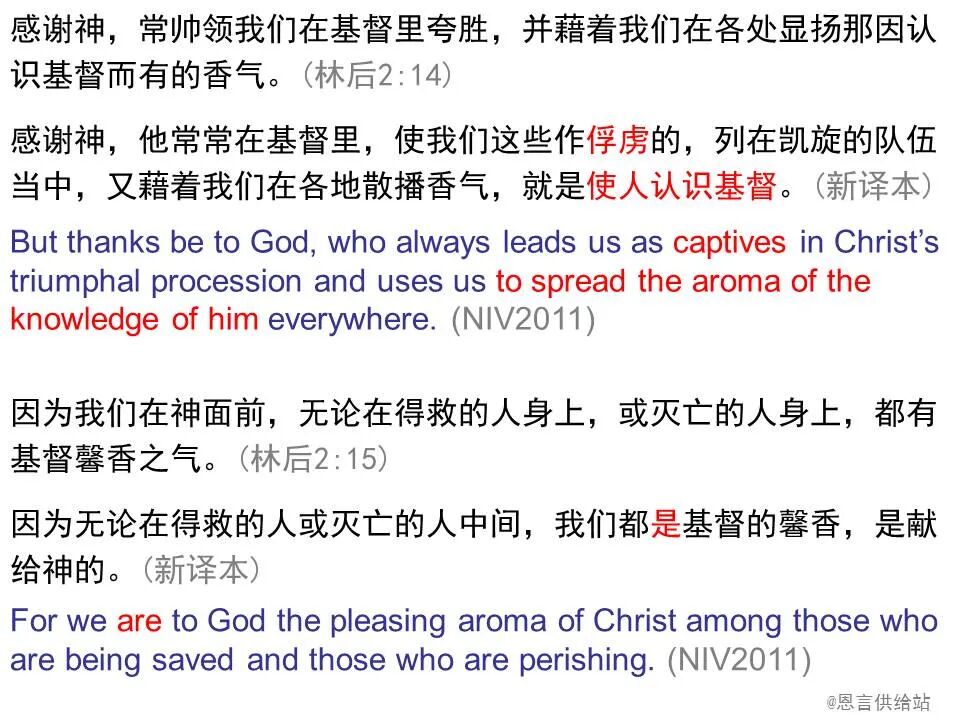 圣经图表——《哥林多后书》(图18)