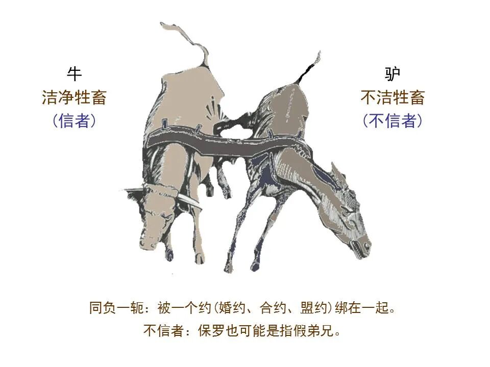 圣经图表——《哥林多后书》(图67)