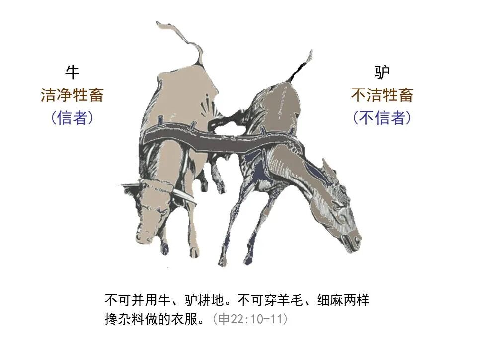 圣经图表——《哥林多后书》(图66)