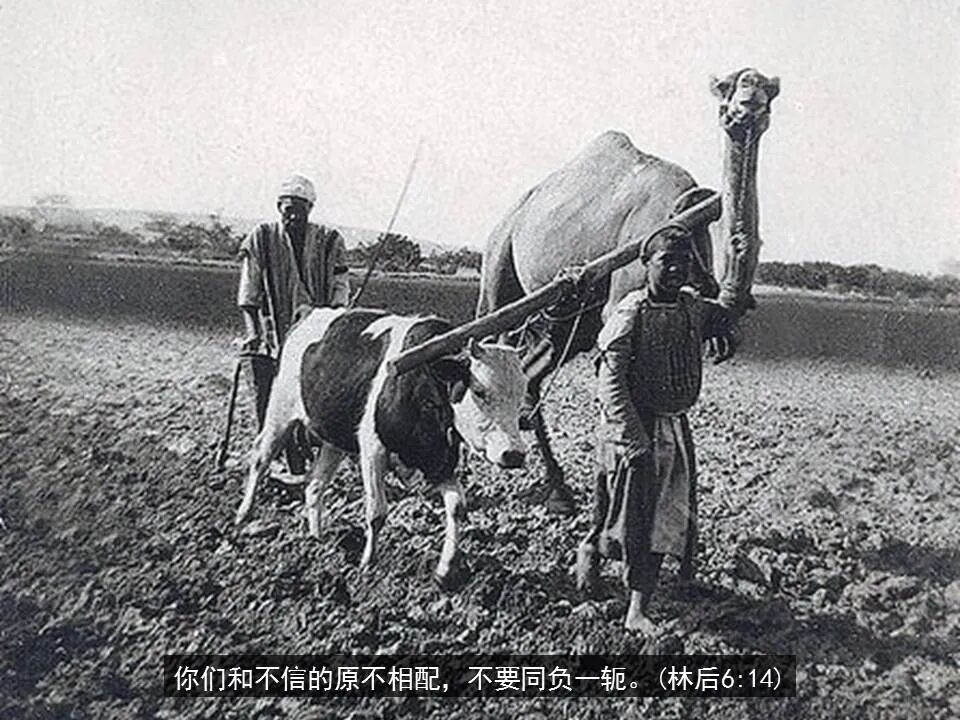 圣经图表——《哥林多后书》(图64)