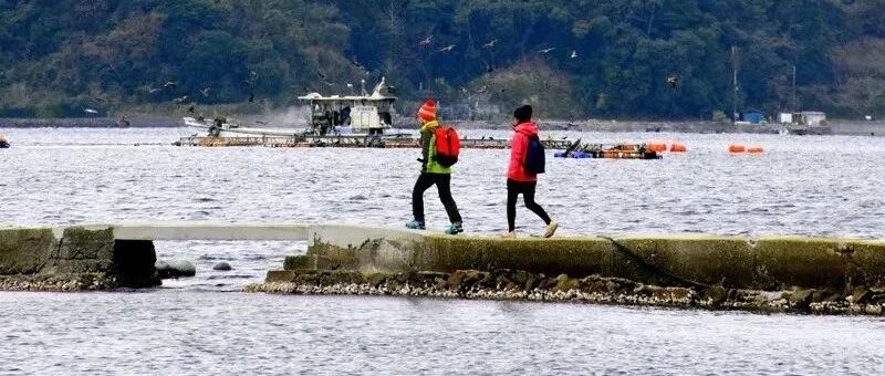 九州！偶来了！