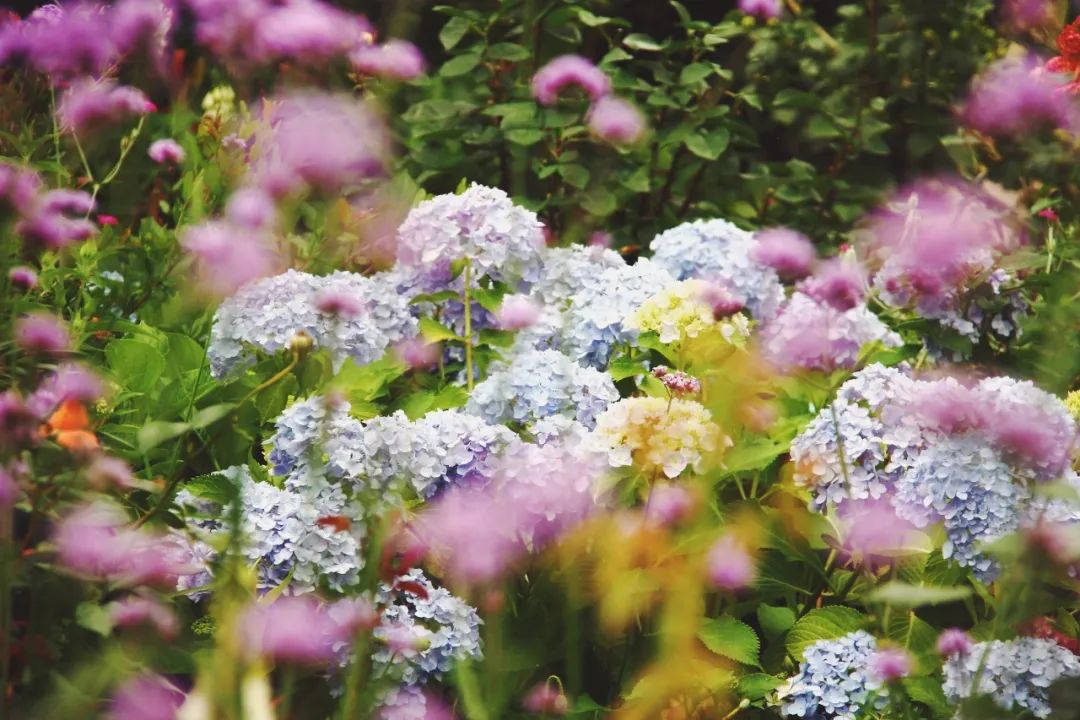 噓，在這5個漂亮的秘密花園，獲取幸福平和的時光 旅遊 第12張