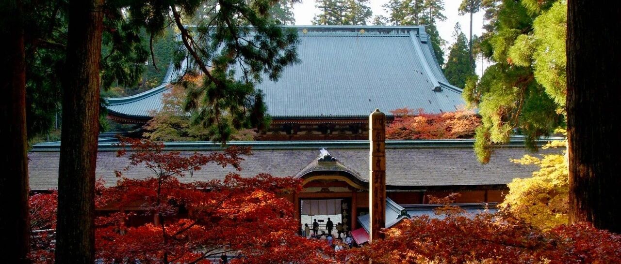 现在最向往的事，就是真·佛系