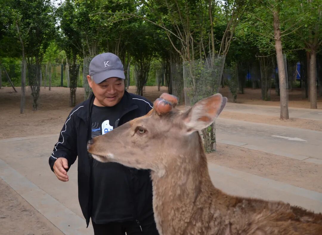 小楼诗家咏周口|砉然还指天开处 直见羲皇一画时