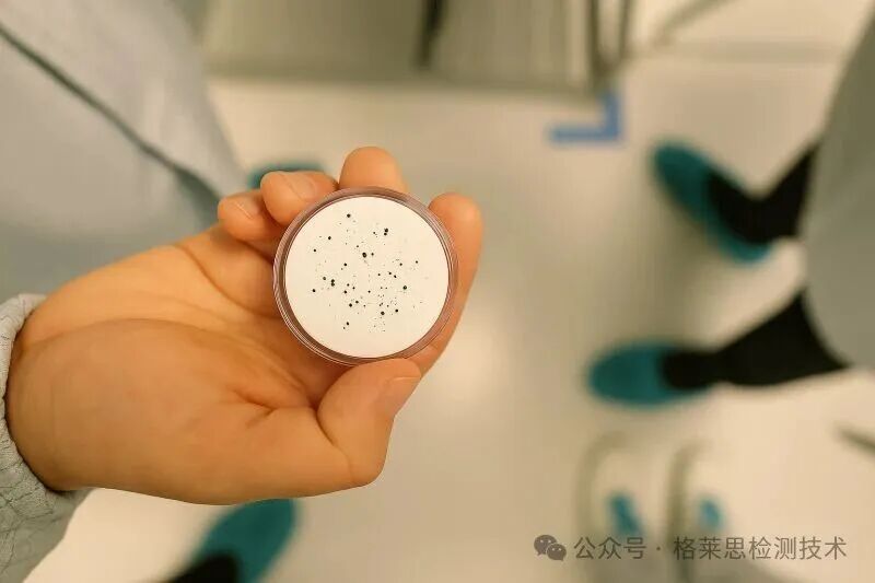 提升產(chǎn)品清潔度VDA19.2