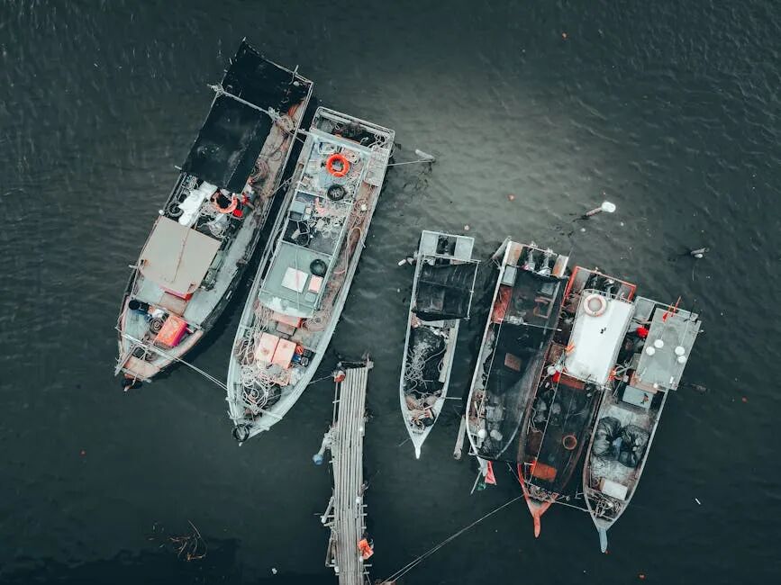 女巫闹闹-巨蟹运势2019(闹闹女巫2019年巨蟹座运势)