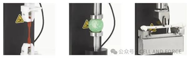 生物力学试验机