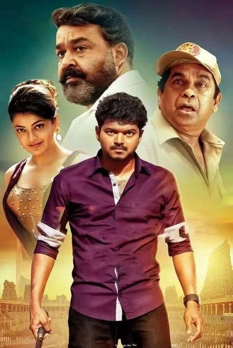 ھەققانىيەتچى  خەتەرلىك رايۇن  ۋىجاي