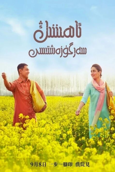 ئاھىننىڭ سەرگۈزەشتىسى  ئامىر خان