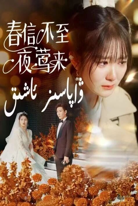 ۋاپاسىز ئاشىق