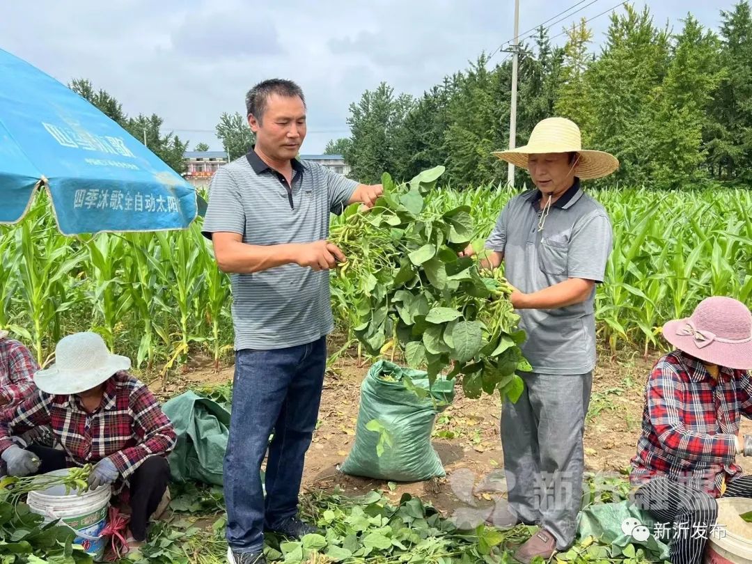 致富农民事迹登报纸_农民致富经_致富农民来谢恩