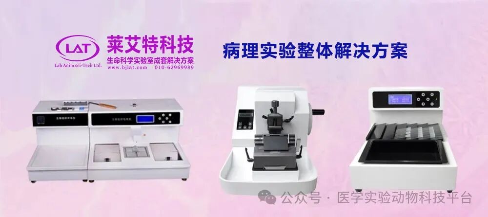 病理切片机什么品牌好莱艾特科技-病理实验整体解决方案_https://www.jmylbn.com_新闻资讯_第2张